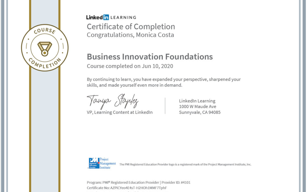 certificate business innovation PMI